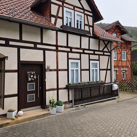 Ferienhaus Reschwitzer Auszeit Saalfeld Saale Esterno foto